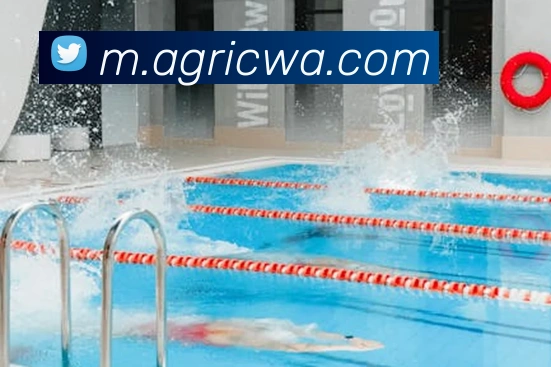 ag百家乐平台生态图