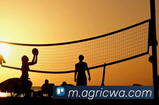 ag百家乐APP 封面图